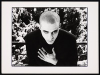 תצלום - גלעד בן דוד ('המוכתר').