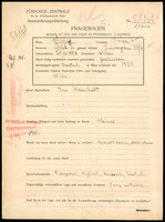 Applicant: Pfeffer, Lisa; born 21.10.1907 in Vilnius (Lithuania); divorced.