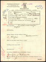 Applicant: Wassermann, Simche; born 20.1.1897 in Sereth (Romania); married.