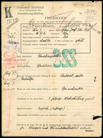 Applicant: Rosenbaum, Friedrich Israel; born 10.7.1913 in Vienna (Austria); single.