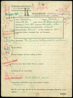 Applicant: Rosenberg, Feiwisch; born 9.3.1884 in Roźniatów,Poland; married.
