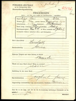 Applicant: Stein, Elsa; born 6.8.1899 in Bucharest (Romania); single.