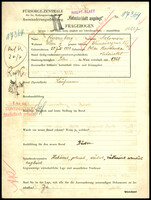 Applicant: Rosenberg, Salomon; born 10.7.1911 in Horodenka (Ukraine); married.
