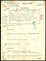 Applicant: Steinberg, Josef; born 25.8.1879 in Kremeniec; married.