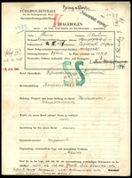 Applicant: Steiner, Abraham; born 14.4.1881 in Tapolcofö (Hungary); married.