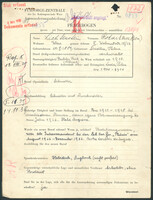 Applicant: Lichtenstein, Oskar; born 20.5.1889 in Siedlce (Poland); married.