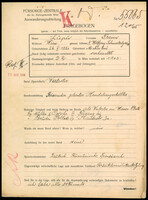 Applicant: Lupu, Froim; born 26.5.1881 in Mihaileni (Romania); married.