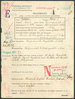 Applicant: Goldstein, Hans; born 2.5.1899 in Adrianopel (Turkey); single.