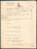 Applicant: Gottlieb, Chana; born 15.11.1882 in Jarosław (Poland); married.