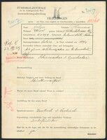 Applicant: Sulzer, Herman; born 12.8.1879 in Ivančice (Czech Republic) ; married.
