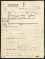 Applicant: Schachnow, Salomon; born 14.9.1887 in Luhansʹk (Ukraine); divorced.