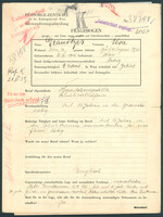 Applicant: Granitzer, Elsa; born 8.4.1906 in Vienna (Austria); single.