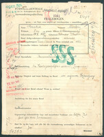 Applicant: Gratsch, Markus; born 28.10.1885 in Satanow (Russia); married.