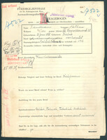 Applicant: Landmann, Nathan; born 23.6.1888 in Kalne; married.