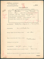 Applicant: Laster, Feiwel; born 4.7.1896 in Horodenka; married.