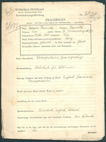 Applicant: Spacirer, Franziska; born 9.11.1918 in Vienna (Austria); single.