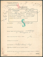 Applicant: Langer, Adolf; born 16.5.1872 in Vrbové (Slovakia); married.