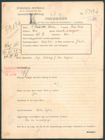 Applicant: Steiner, Paul Israel; born 16.10.1898 in Vienna (Austria); married.