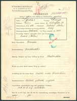 Applicant: Spiess, Chaja; born 8.1.1894 in Ostrów Wielkopolski (Poland); single.