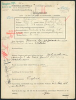 Applicant: Schächter, Isak; born 9.11.1901 in Storozynetz (Ukraine); single.