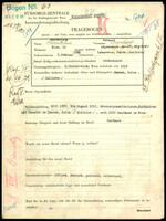 Applicant: Steinklein, Bernard Bernhard; born 2.2.1883 in Kabarowce (Ukraine); married.