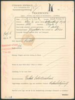 Applicant: Schuster, Hermann; born 1882 in Tuzla (Bosnia and Herzegovina); single.