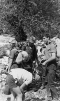 המוסד בחינוכי "בקעת כנרות"-טיולים ומחנות.
