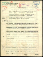 Applicant: Kreisler, Michael; born 16.8.1898 in Hintherbrühl B. Wien; married.