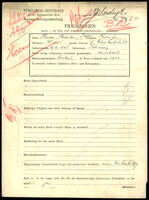 Applicant: Kreisler, Therese; born 27.4.1868 in Sobrance (Slovakia); widowed.