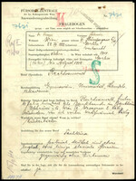 Applicant: Krieger, Salomón; born 22.7.1888 in Gorlice (Poland); married.