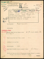Applicant: Koppa, Masehik David; born 18.3.1897 in Chorzele (Poland); married.