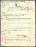 Applicant: Löbl, Rudolf; born 10.5.1891 in Vienna (Austria); married.