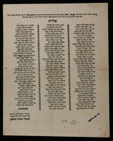 בפטירת האשה : ... שרה לויה ... אשת ... כמ"ר חיים הלוי ... מעיר פיורינצא ... אילייה.