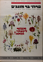 פרחי בר מוגנים.