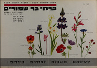פרחי בר שמורים.