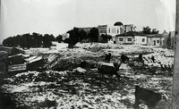 בנימינה דוד עברי.