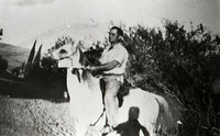 טובוסקי מושב בית הלל.