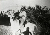 טובוסקי מושב בית הלל.