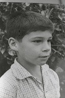 גשר- הבן של מורגנשטרן.