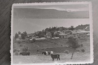 רפרודוקציות מצילומים של ארכיון מושבת כנרת.