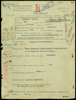 Applicant: Rotblatt, Hermann Chaim Levi; born 30.6.1889 in Łódź (Poland); married.