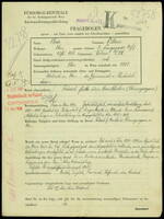 Applicant: Weiss, Moriz; born 13.4.1877 in Vrbové (Slovakia); married.