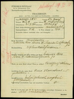 Applicant: Weindling, Josef; born 25.10.1901 in Krakau; married.