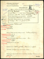 Applicant: Sternbach, Chaim; born 6.12.1885 in Drohobycz (Poland); married.
