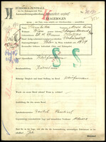 Applicant: Sternkiker, Moses Leiser; born 20.11.1897 in Oleszyce; married.