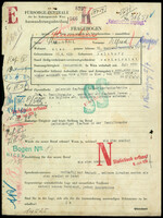 Applicant: Sternlieb, Alfred; born 18.4.1886 in Salzburg (Austria); married.