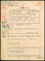 Applicant: Schadinger, Bernhard Israel; born 12.10.1879 in Ivančice (Czech Republic) ; married.