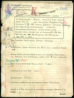 Applicant: Schampanski Schorr, Isak Hersch Hermann; born 17.12.1886 in Z︠H︡ytomyr (Ukraine); married.
