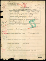 Applicant: Schauzer, Bella; born 6.2.1920 in Leipzig (Germany); single.