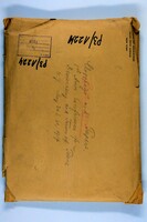 First American Conference for Democracy and Terms of Peace: Magnes' participation as Chairman, May 1917, New York.
